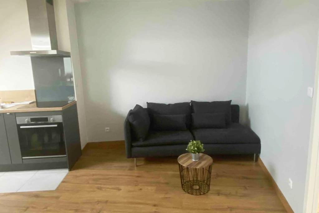 Superbe Appartement En Coeur De Ville Орлеан Екстериор снимка