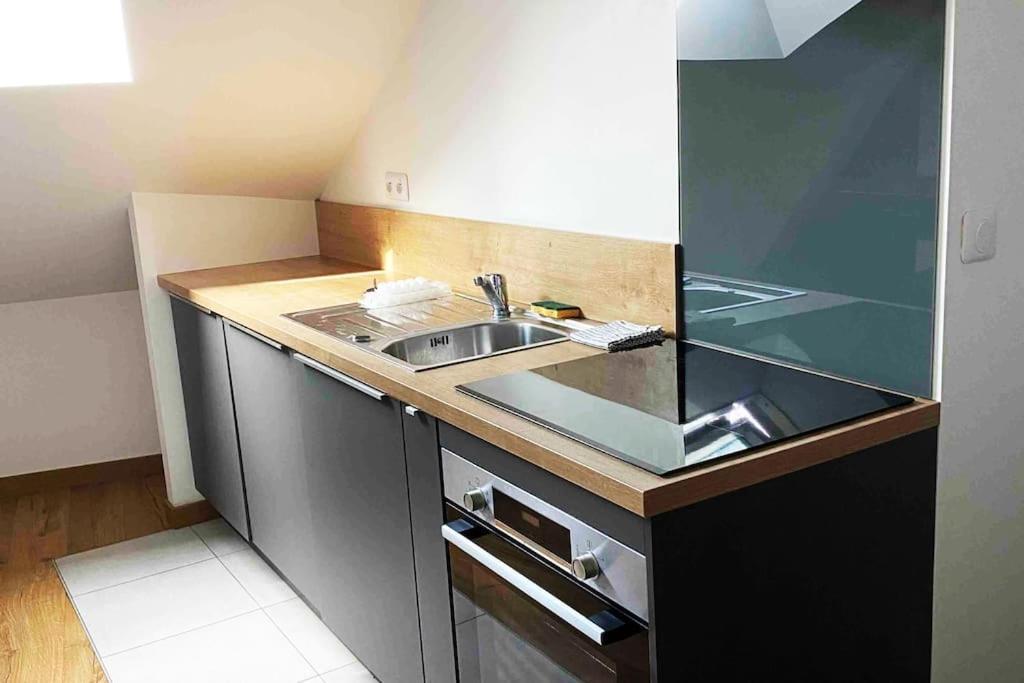 Superbe Appartement En Coeur De Ville Орлеан Екстериор снимка
